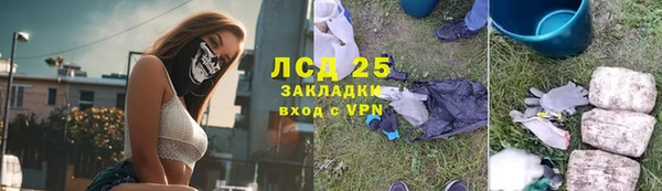хмурый Пересвет