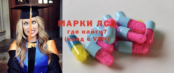 хмурый Пересвет