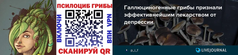 Псилоцибиновые грибы Psilocybe  продажа наркотиков  Старая Русса 